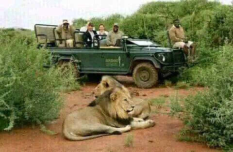 Chobe Full Day Tour (Botswana)