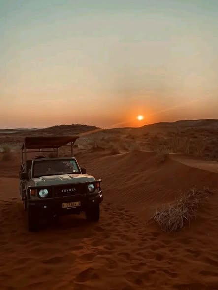 Safari Adventures in Botswana & Namibia