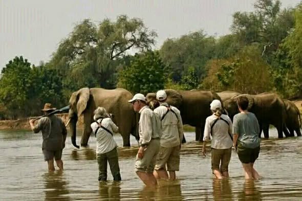 Zambia Magic: Wild & Waterfalls