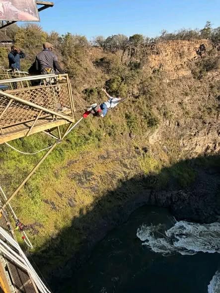 Bridge Activities photo 5