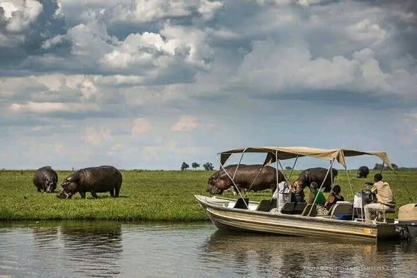Classic Botswana Zimbabwe photo 2