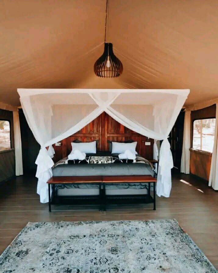 Luxurious Tented Camp photo 3