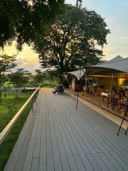 Luxurious Tented Camp photo 4
