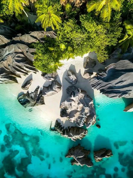 Seychelles Beach Holidays photo 2